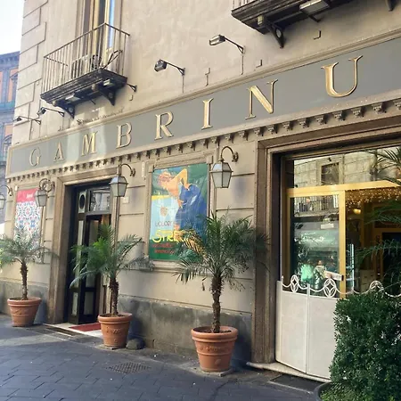 La Casa Di Licia A Due Passi Da Piazza Del Plebiscito Napoli